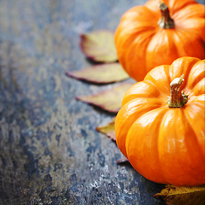 포토 JPG 해외이미지 낙엽 호박 실내 근접촬영 사람없음 농작물 두개 가을 나무바닥 카피스페이스 해외202004 해외포토 계절 뷰포인트 잎 2 농업 채소 바닥 내부 공백 파일형식