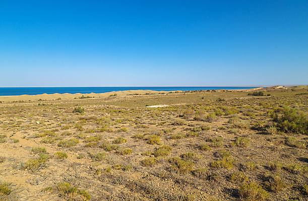 포토 JPG 해외이미지 구름 아시아 호수 모래 바다 패턴 자연 하늘 바닥 풍경 사람없음 물 여름 햇빛 태양 우주 환경 사막 죽음 만 중앙 위험 망토 모래언덕 질감 소금 장면 층 동쪽 우즈베키스탄 내추럴 생태학 요르단 재앙 해외202105 해외포토 자연요소 계절 교육 나라 컨셉 무늬 중동 방향 언덕 생태계 중앙아시아 파일형식
