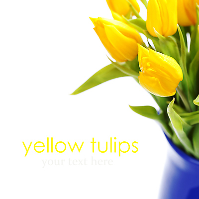 포토 JPG 해외이미지 꽃다발 실내 근접촬영 타이포그라피 사람없음 꽃병 튤립 흰배경 카피스페이스 해외202004 해외포토 문자 꽃 뷰포인트 백그라운드 내부 공백 흰색 파일형식
