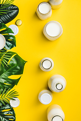 포토 JPG 해외이미지 잎 유리병 건강 사람없음 하이앵글 우유 우유병 유기농 노란배경 몬스테라 칼슘 해외202004 해외포토 식물 웰빙 뷰포인트 백그라운드 병_용기 유제품 노란색 파일형식