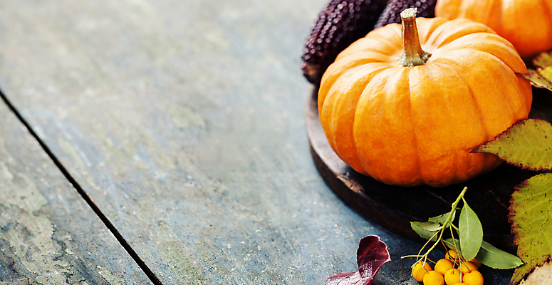 포토 JPG 해외이미지 열매 낙엽 호박 실내 사람없음 농작물 가을 나무바닥 카피스페이스 해외202004 해외포토 식물 계절 잎 농업 채소 바닥 내부 공백 파일형식