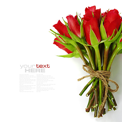 포토 JPG 해외이미지 리본 꽃다발 실내 근접촬영 타이포그라피 사람없음 장미 흰배경 노끈 카피스페이스 해외202004 해외포토 문자 꽃 줄 뷰포인트 백그라운드 내부 공백 흰색 파일형식