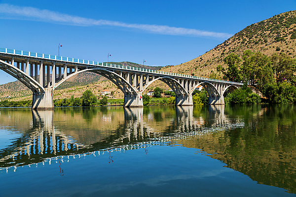포토 JPG 해외이미지 나무 부분 산 사람없음 강 반사 고속도로 스페인 포르투갈 도루강 완벽 국경 해외202105 해외포토 식물 유럽 도로 컨셉 파일형식