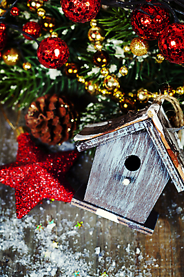 포토 JPG 해외이미지 별 크리스마스장식 크리스마스 사람없음 하이앵글 크리스마스트리 눈 나무바닥 솔방울 새장 오너먼트 해외202004 해외포토 자연요소 기념일 뷰포인트 날씨 바닥 케이지 파일형식