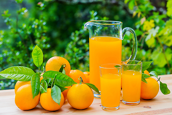 포토 JPG 해외이미지 나무 식물 음식 백그라운드 잎 밭 농업 오렌지 과일 부분 자연 유리 탁자 귤 건강 사람없음 야외 목재 가로 초록색 빛 농작물 태양 농장 갈색 정원 주스 성장 나뭇가지 시골 신선 잡기 그룹 닫기 맛 상품 과수원 자르기 수집 피부 내추럴 구성 해외202105 해외포토 자연요소 산업 음료 컬러 가구 컨셉 재료 모션 재질 신체부위 생태계 파일형식