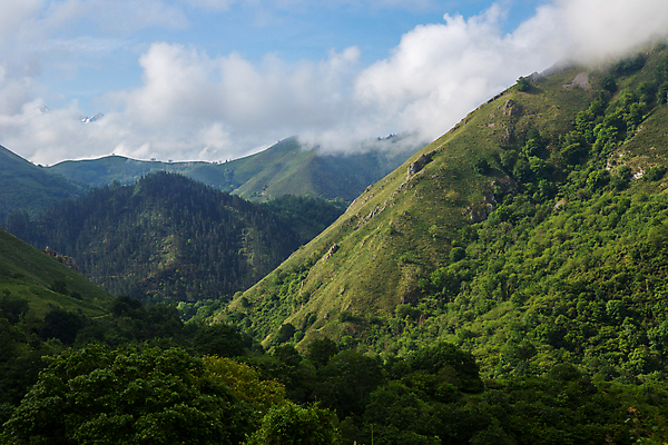 포토 JPG 해외이미지 나무 구름 공원 유럽 상징 여행 자연 하늘 산 국립공원 풍경 초원 사람없음 야외 초록색 환경 전원 시골 소나무 스페인 정상 숲 언덕 전국 절정 해외202105 해외포토 자연요소 식물 공공시설 나라 컬러 전기에너지 생태계 파일형식