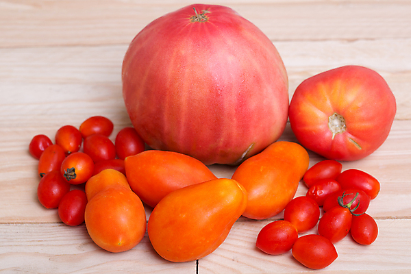 포토 JPG 해외이미지 식물 음식 백그라운드 농업 다이어트 토마토 채소 재료 자연 탁자 오이 프레임 건강 요리 사람없음 목재 빨간색 빛 어둠 신선 원형 그룹 선택 작음 먹기 오브젝트 상쾌 유기농 날것 국산 숙성 채식주의자 해외202105 해외포토 도형 나무 웰빙 감정 산업 컬러 가구 컨셉 모션 크기 생태계 채식 파일형식