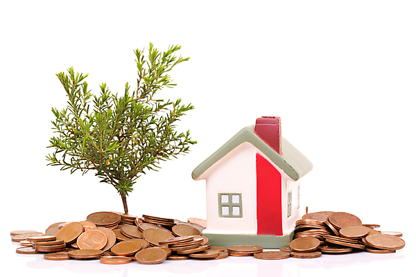 포토 JPG 해외이미지 나무 식물 무료이미지 꽃 줄기 컨셉 잎 돈 비즈니스 자연 성공 주택 아이디어 씨앗 사람없음 초록색 금융 경제 쌓기 동전 저축 에너지 성장 흰색 나뭇가지 시장 재산 황금 주식 심볼 투자 흙더미 계산서 진행 대출 개발 고립 관심 돌봄 수입 업그레이드 헬프 많음 해외202105 해외포토 컬러 모션 건물 흙 도움 생태계 파일형식 더미