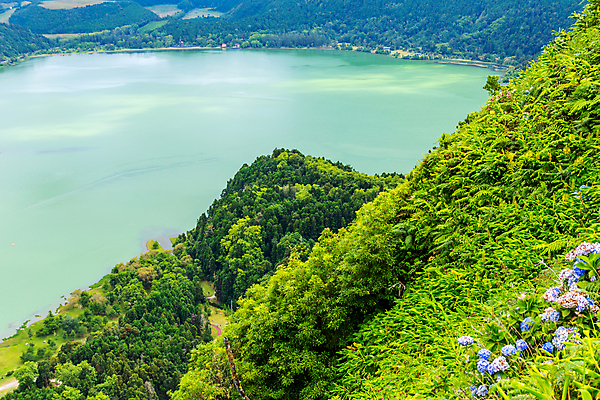 포토 JPG 해외이미지 식물 호수 섬 자연 하늘 안테나 풍경 사람없음 야외 전원 숲 포르투갈 언덕 해외202105 해외포토 유럽 통신 전기에너지 생태계 파일형식