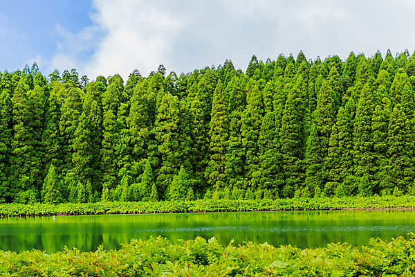 포토 JPG 해외이미지 구름 유럽 길 호수 섬 백그라운드 자연 하늘 풍경 사람없음 야외 숲 포르투갈 해외202105 해외포토 자연요소 나라 생태계 파일형식