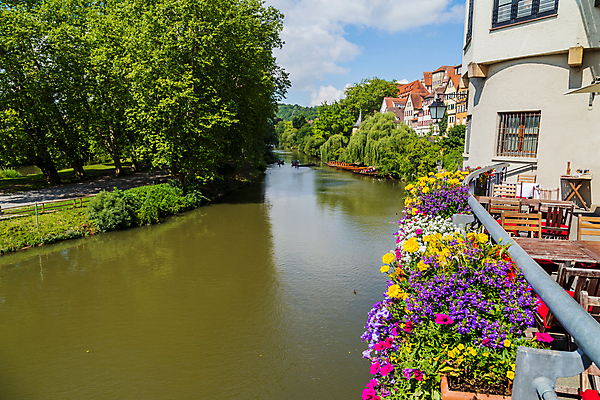 포토 JPG 해외이미지 전통 꽃 유럽 여행 주택 독일 사람 사람없음 야외 목재 물 강 컬러풀 중세 역사 대학교 타운 강렬 해외202105 해외포토 자연요소 나무 식물 나라 컬러 재료 학교 건물 도시 파일형식
