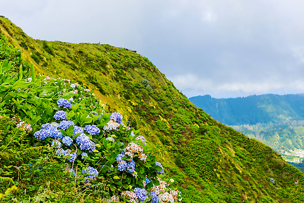 포토 JPG 해외이미지 나무 식물 구름 공원 꽃 유럽 호수 섬 자연 하늘 산 풍경 사람없음 야외 계곡 전원 도시 숲 포르투갈 언덕 해외202105 해외포토 자연요소 공공시설 나라 전기에너지 생태계 파일형식
