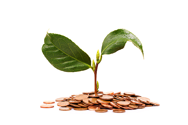 포토 JPG 해외이미지 나무 식물 무료이미지 꽃 줄기 컨셉 잎 돈 비즈니스 자연 성공 주택 아이디어 씨앗 사람없음 초록색 금융 경제 쌓기 동전 저축 에너지 성장 흰색 나뭇가지 시장 재산 황금 주식 심볼 투자 흙더미 계산서 진행 대출 개발 고립 관심 돌봄 수입 업그레이드 헬프 많음 해외202105 해외포토 컬러 모션 건물 흙 도움 생태계 파일형식 더미