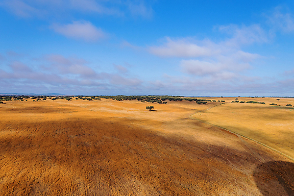 포토 JPG 해외이미지 구름 무료이미지 유럽 하늘 아침 사람 사람없음 야외 축제 안개 승차 포르투갈 해외202105 해외포토 주간 자연요소 나라 모션 날씨 파일형식
