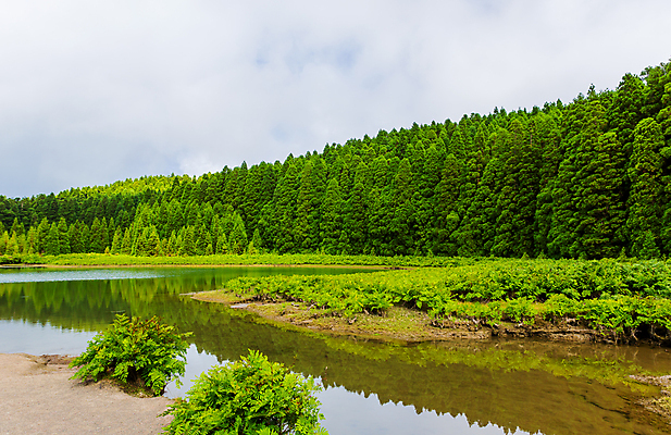 포토 JPG 해외이미지 구름 무료이미지 유럽 길 호수 섬 백그라운드 자연 하늘 풍경 사람없음 야외 숲 포르투갈 해외202105 해외포토 자연요소 나라 생태계 파일형식