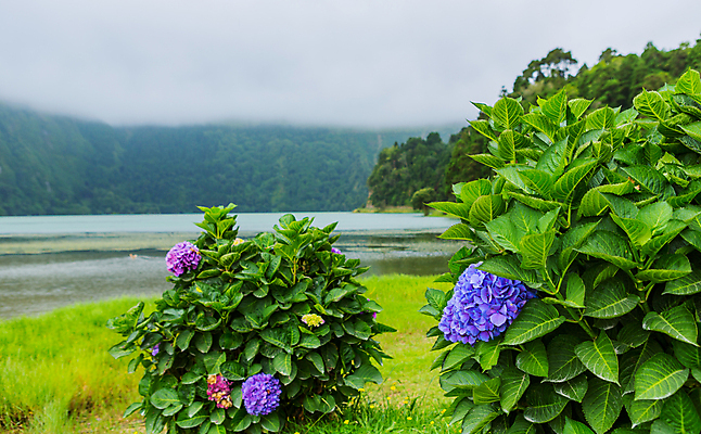 포토 JPG 해외이미지 나무 식물 구름 공원 유럽 호수 섬 자연 하늘 산 풍경 사람없음 야외 계곡 전원 도시 숲 포르투갈 언덕 해외202105 해외포토 자연요소 공공시설 나라 전기에너지 생태계 파일형식