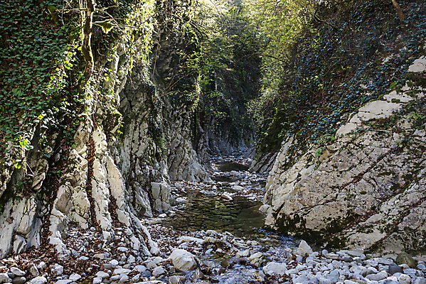 포토 JPG 해외이미지 공원 야생동물 여행 자연 산 풍경 사람없음 물 강 여행객 걷기 골짜기 가을 개울 숲 휴양지 러시아 지역 암초 보호구역 전국 해외202004 해외202105 해외포토 자연요소 동물 계절 공공시설 유럽 모션 사람 장소 생태계 구역 파일형식