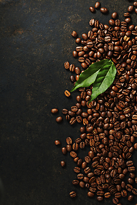 포토 JPG 해외이미지 검은배경 실내 사람없음 하이앵글 원두 해외202004 해외포토 커피 뷰포인트 백그라운드 내부 검은색 파일형식