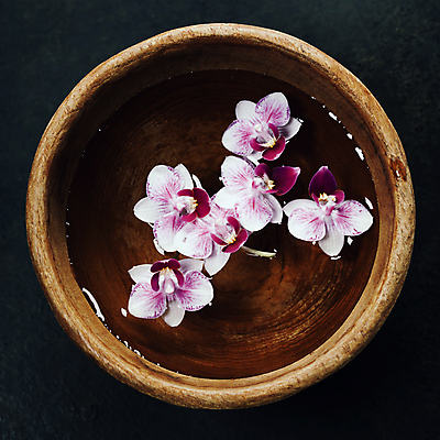 포토 JPG 해외이미지 검은배경 사람없음 목재 물 스파 난초 사발 스파용품 아로마테라피 난초꽃 플랫레이 해외202004 해외포토 자연요소 나무 식물 꽃 백그라운드 재료 검은색 사기그릇 플랫 오브젝트 테라피 파일형식