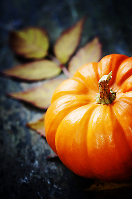 포토 JPG 해외이미지 낙엽 호박 나뭇잎 실내 근접촬영 사람없음 농작물 한개 가을 나무바닥 해외202004 해외포토 1 계절 뷰포인트 잎 농업 채소 바닥 내부 파일형식