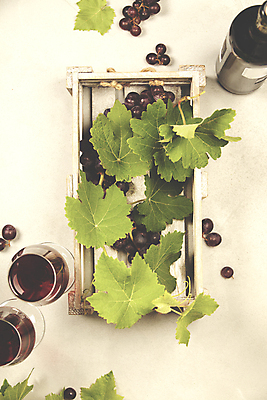 포토 JPG 해외이미지 와인잔 포도 사람없음 하이앵글 와인 나무상자 와인병 흰배경 포도잎 필터 해외202004 해외포토 뷰포인트 백그라운드 잎 술잔 과일 병_용기 주류 상자 흰색 파일형식