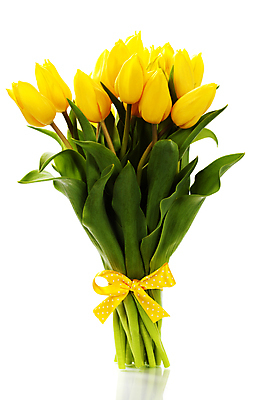 포토 JPG 해외이미지 리본 꽃다발 실내 사람없음 튤립 흰배경 해외202004 해외포토 꽃 백그라운드 내부 흰색 파일형식