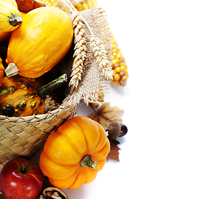 포토 JPG 해외이미지 호박 실내 사람없음 농작물 바구니 추수 벼 가을 사과 삼베 흰배경 담기 찰옥수수 해외202004 해외포토 계절 백그라운드 농업 채소 과일 모션 곡류 옥수수 내부 흰색 파일형식 천_직물