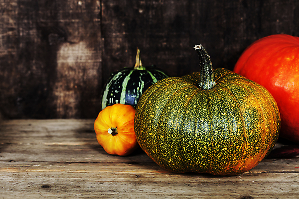 포토 JPG 해외이미지 호박 실내 종류 사람없음 농작물 다양 가을 나무탁자 해외202004 해외포토 계절 다수 농업 채소 탁자 내부 파일형식