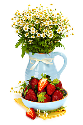 포토 JPG 해외이미지 꽃잎 리본 딸기 사람없음 꽃병 흰배경 해외202004 해외포토 꽃 백그라운드 과일 흰색 파일형식