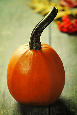 포토 JPG 해외이미지 호박 실내 사람없음 아웃포커스 농작물 한개 가을 나무바닥 해외202004 해외포토 1 계절 농업 채소 바닥 촬영기법 내부 파일형식