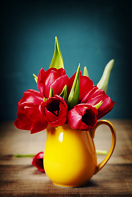 포토 JPG 해외이미지 꽃다발 실내 사람없음 꽃병 튤립 원예 파란배경 해외202004 해외포토 꽃 백그라운드 취미 내부 파란색 파일형식