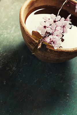 포토 JPG 해외이미지 실내 그림자 사람없음 벚꽃 사발 나무바닥 스파용품 아로마테라피 꽃가지 카피스페이스 해외202004 해외포토 꽃 바닥 내부 스파 공백 나뭇가지 사기그릇 오브젝트 테라피 파일형식