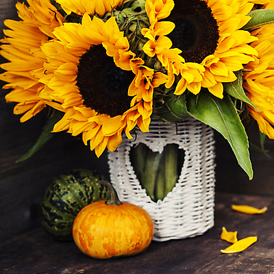 포토 JPG 해외이미지 호박 해바라기 실내 사람없음 하트 해외202004 해외포토 모양 꽃 채소 내부 파일형식