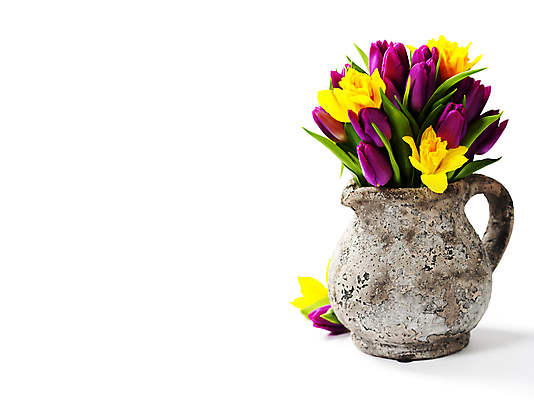 포토 JPG 해외이미지 꽃다발 실내 사람없음 꽃병 튤립 흰배경 카피스페이스 해외202004 해외포토 꽃 백그라운드 내부 공백 흰색 파일형식