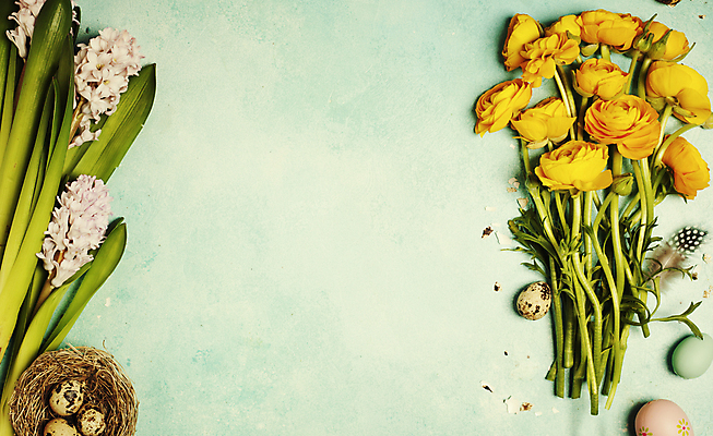 포토 JPG 해외이미지 꽃다발 부활절 실내 사람없음 둥지 부활절계란 파란배경 라넌큘러스 메추리알 히아신스 카피스페이스 해외202004 해외포토 기념일 꽃 백그라운드 내부 파란색 계란 알 공백 파일형식