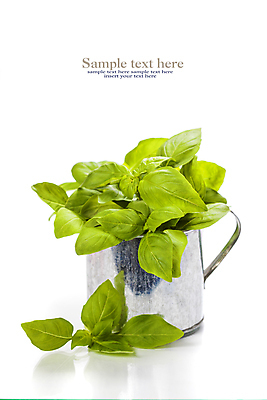 포토 JPG 해외이미지 실내 타이포그라피 사람없음 컵 흰배경 바질 카피스페이스 해외202004 해외포토 문자 식기 백그라운드 내부 공백 흰색 파일형식