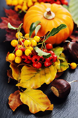 포토 JPG 해외이미지 낙엽 호박 검은배경 사람없음 가을 밤 호랑가시나무열매 해외202004 해외포토 계절 열매 백그라운드 잎 채소 검은색 견과류 파일형식