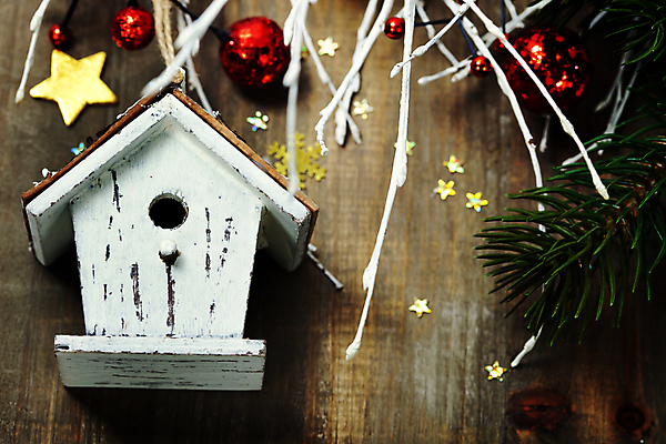 포토 JPG 해외이미지 별 크리스마스장식 크리스마스 사람없음 하이앵글 나뭇가지 나무바닥 새장 침엽수 오너먼트 해외202004 해외포토 자연요소 나무 기념일 뷰포인트 바닥 케이지 파일형식