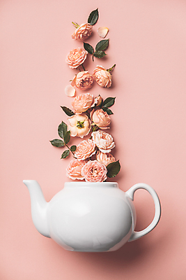 포토 JPG 해외이미지 잎 아이디어 실내 사람없음 하이앵글 장미 찻주전자 감성 플랫레이 분홍색배경 해외202004 해외포토 식물 꽃 뷰포인트 분홍색 백그라운드 컨셉 주전자 내부 플랫 파일형식