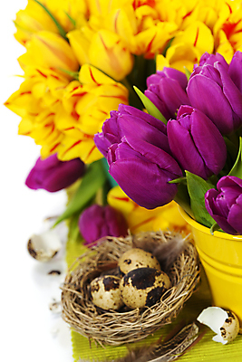 포토 JPG 해외이미지 화분 꽃다발 부활절 실내 근접촬영 사람없음 튤립 껍질 둥지 깃털 흰배경 메추리알 해외202004 해외포토 기념일 꽃 뷰포인트 백그라운드 내부 알 흰색 파일형식