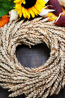 포토 JPG 해외이미지 호박 해바라기 실내 사람없음 농작물 벼 가을 나무바닥 추수감사절 흑찰옥수수 해외202004 해외포토 계절 꽃 기독교 농업 채소 곡류 바닥 내부 찰옥수수 파일형식