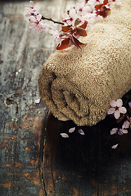 포토 JPG 해외이미지 사람없음 수건 위생용품 벚꽃 나뭇가지 스파용품 아로마테라피 해외202004 해외포토 나무 꽃 생활용품 스파 오브젝트 테라피 파일형식