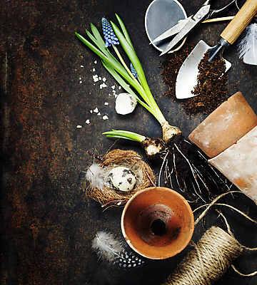 포토 JPG 해외이미지 화분 사람없음 하이앵글 흙 둥지 모종삽 깃털 원예 메추리알 원예용품 카피스페이스 갈색배경 해외202004 해외포토 뷰포인트 생활용품 백그라운드 취미 갈색 알 공백 삽 파일형식