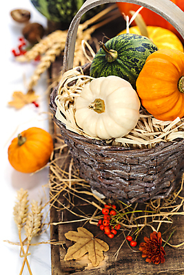 포토 JPG 해외이미지 열매 꽃 낙엽 호박 실내 사람없음 농작물 바구니 벼 가을 볏짚 흰배경 담기 해외202004 해외포토 식물 계절 백그라운드 잎 농업 채소 모션 곡류 내부 흰색 짚 파일형식