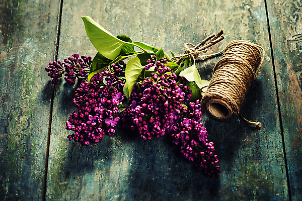 포토 JPG 해외이미지 꽃다발 실내 사람없음 나무바닥 노끈 라일락 해외202004 해외포토 꽃 줄 바닥 내부 파일형식