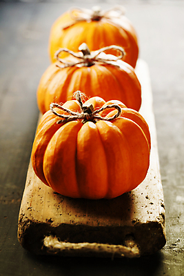 포토 JPG 해외이미지 리본 호박 실내 사람없음 아웃포커스 농작물 가을 일렬 나무받침 해외202004 해외포토 계절 농업 채소 촬영기법 내부 목재 받침대 파일형식