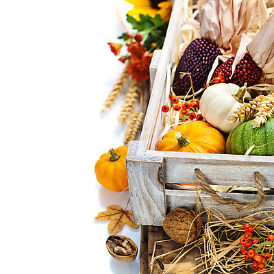 포토 JPG 해외이미지 열매 낙엽 호박 실내 사람없음 농작물 벼 가을 나무상자 흰배경 호두 카피스페이스 흑찰옥수수 해외202004 해외포토 식물 계절 백그라운드 잎 농업 채소 곡류 내부 상자 공백 견과류 흰색 찰옥수수 파일형식