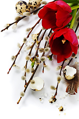 포토 JPG 해외이미지 부활절 사람없음 튤립 나뭇가지 버드나무 깃털 흰배경 메추리알 해외202004 해외포토 나무 기념일 꽃 백그라운드 알 흰색 파일형식