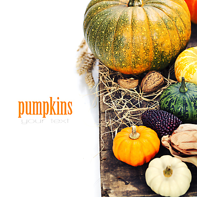 포토 JPG 해외이미지 호박 실내 타이포그라피 사람없음 농작물 벼 가을 볏짚 흰배경 나무바닥 호두 카피스페이스 흑찰옥수수 해외202004 해외포토 문자 계절 백그라운드 농업 채소 곡류 바닥 내부 공백 견과류 흰색 짚 찰옥수수 파일형식