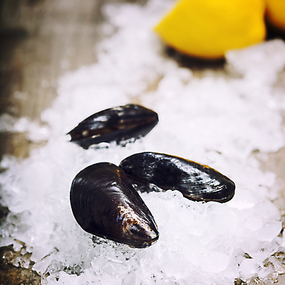 포토 JPG 해외이미지 근접촬영 사람없음 얼음 레몬 나무바닥 홍합 해외202004 해외포토 자연요소 뷰포인트 과일 어패류 바닥 파일형식